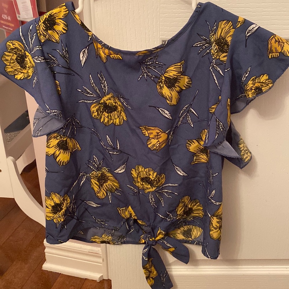 Blue cropped blouse
